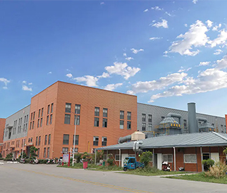 Changxing Dinghao Textile Co., Ltd.